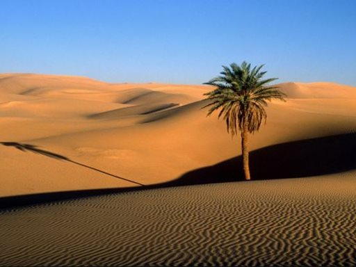 تفسير رؤية الصحراء في المنام أو الحلم