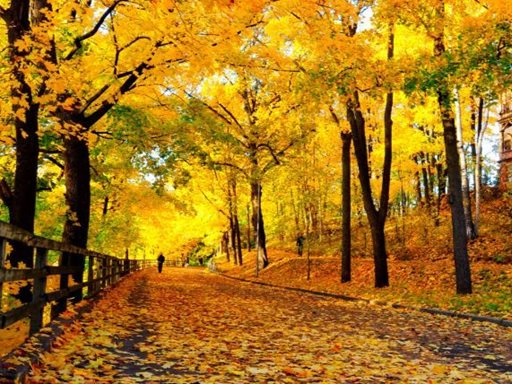 تفسير رؤية فصل الخريف في المنام أو الحلم